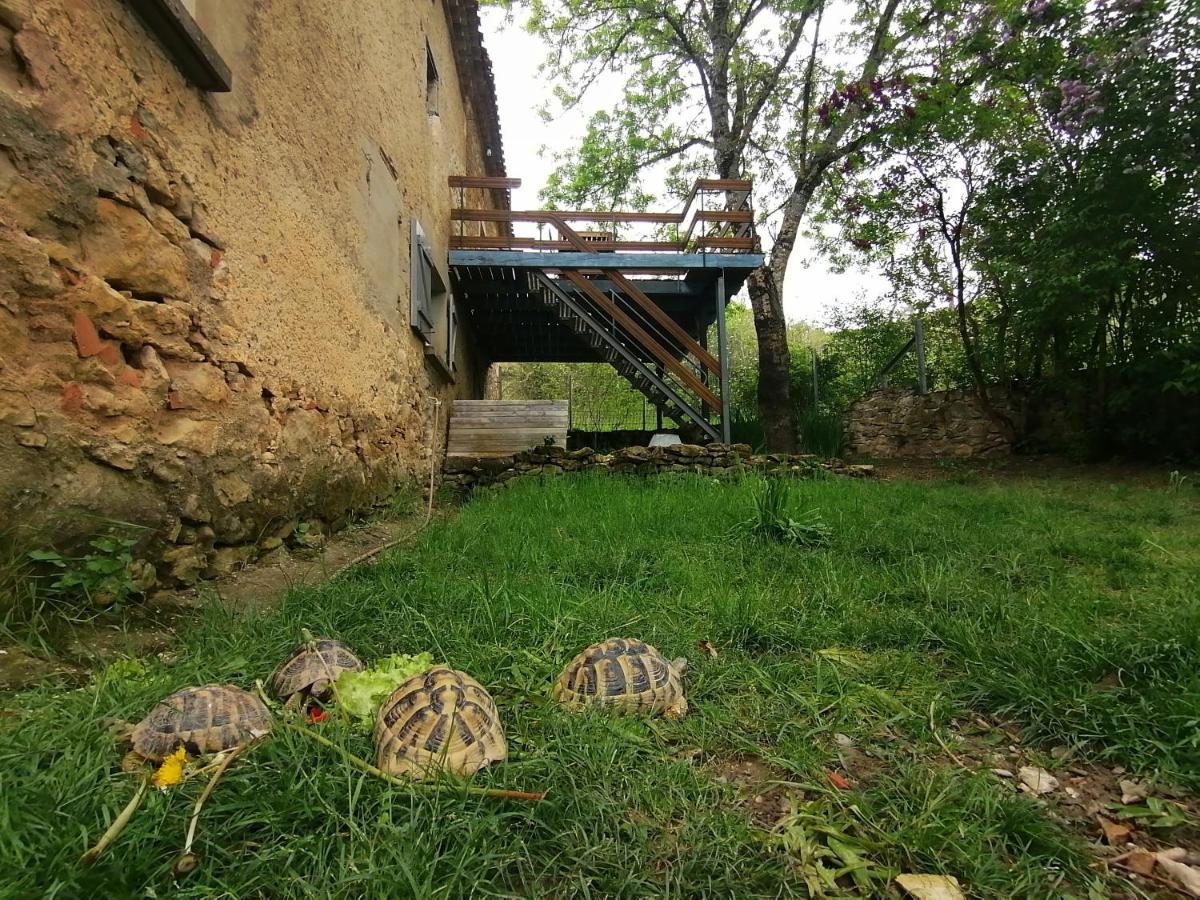 Gite Du Fassac Saint-Julien-du-Puy Luaran gambar